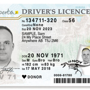 Canadian Driver's License