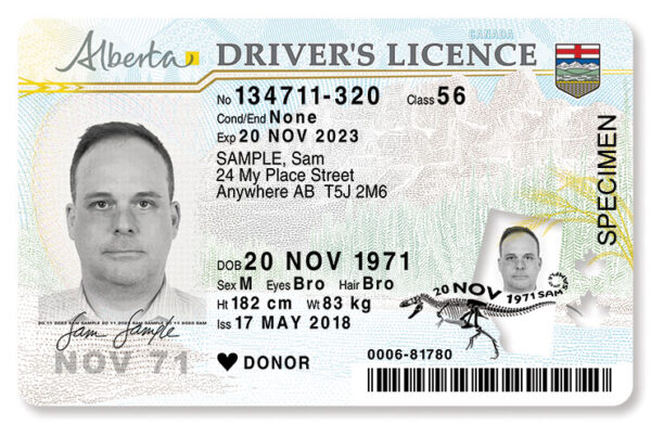 Canadian Driver's License