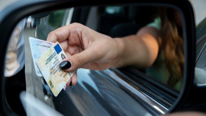 German Driver's License