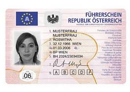 German Driver's License