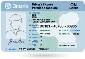 Canadian Driver's license